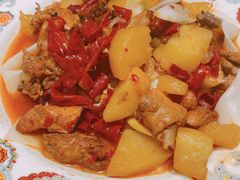 -巴依老爷新疆美食(清华东门店)