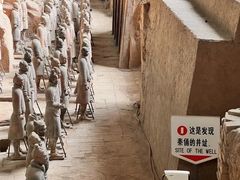 -秦始皇帝陵博物院(兵马俑)