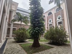 -香港大学
