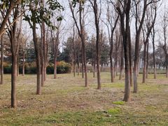 -洨河生态公园