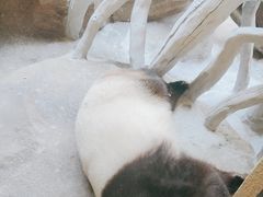 -宁波野生动物园