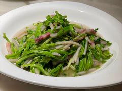-東大方(湖州白鹭迎店)