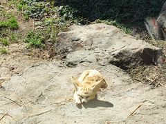 -杭州野生动物世界