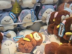 -星际传奇(海韵城店)