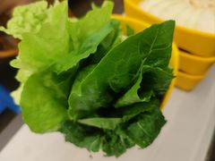 -润园四季椰子鸡火锅(海上世界店)