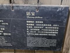-梦娜斯庄园