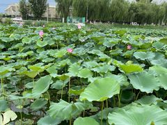 -素心小筑(后沙裕镇店)