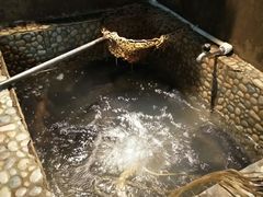 -蜀留香石锅鱼(六顺街店)