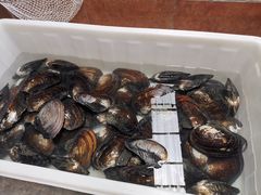 -八仔大富楼·河鲜(西江店)