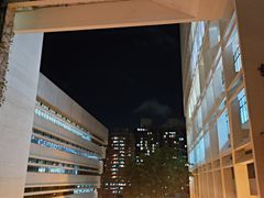 -香港大学