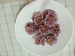 -苏州雏渐肥月嫂
