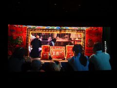 -星河寰宇IMAX影城(星河WORLD·COCO Park店)