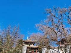 -北京西山国家森林公园