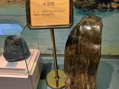 -陕西自然博物馆