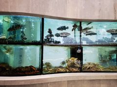 -唐宫·粤菜海鲜(万象城店)