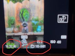 -上海鲜花港