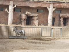 -鄂尔多斯野生动物园