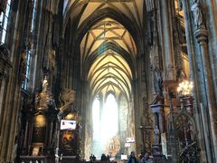 -斯蒂芬主教座堂(Stephansdom)