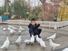 -南宫五洲植物乐园