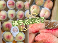 -老袁家蜜桃农场·阳山水蜜桃