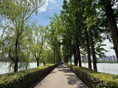 -洋湖国家湿地公园