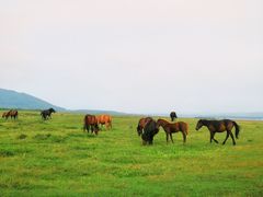 -塞罕坝国家级自然保护区