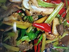 -爱妈妈家政 珠江新城