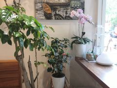 -琥珀咖啡 Ambercoffee