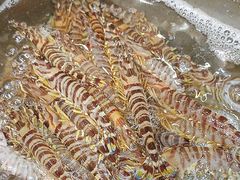 -77号渔船·蒸海鲜青岛菜(积米崖店)