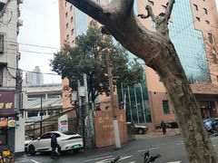-巴士大厦
