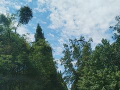 -都江堰普照寺