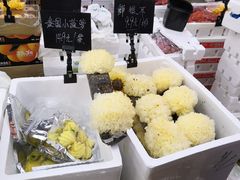 -叁宫礼水果批发仓储店(梅江店)