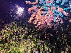 -暴风岛沉浸式体验馆(百联世纪店)