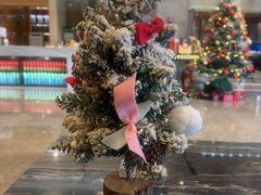 -奕景海鲜酒家· 大连海鲜(星海广场店)