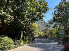 -雁南飞茶田景区