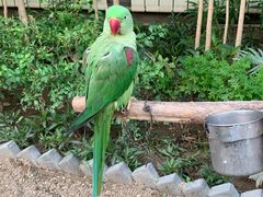 -南宫五洲植物乐园