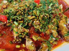 -苏记溪河鲢鱼庄(天府新区店)