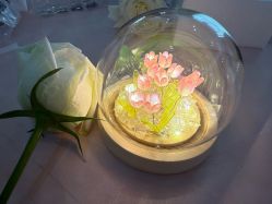 -菁幼月子会所(儿童医院店)