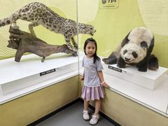 -国家自然博物馆