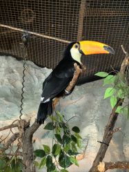 -Zoolung Zoolung动物主题公园(海信广场店)