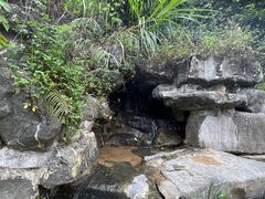 -阳台山森林公园