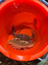 -钓虾工场·钓虾·赶海(回龙观店)