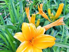 -汉长安城未央宫国家考古遗址公园