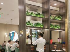 -刘胖子家常菜·蹄花焖藕(中南店)