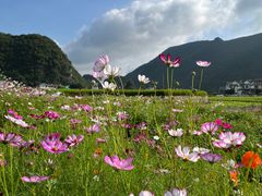 -万峰林风景区