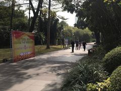 -晓港公园