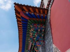 -塔尔寺-菩提树