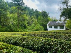 -敬亭山风景名胜区