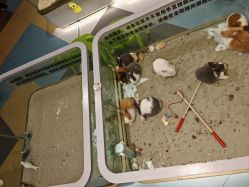 -meland亲子乐园•派对•研学(苏州悠方购物中心店)