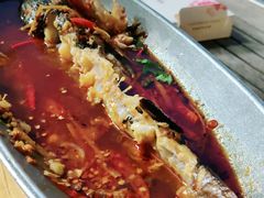 -听香·678茶铺(猛追湾店)